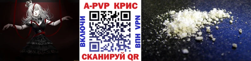 A-PVP СК  Кашин 