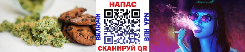 Canna-Cookies марихуана omg маркетплейс Кашин купить наркоту