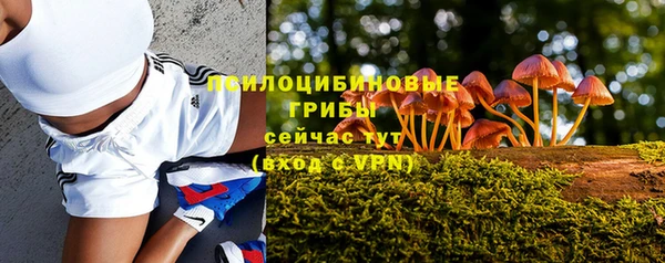 прущие крисы Алексеевка