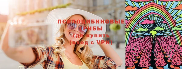 дмт Алзамай