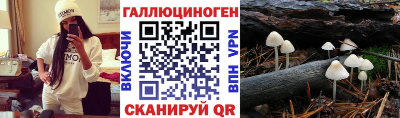 Галлюциногенные грибы прущие грибы  Кашин 